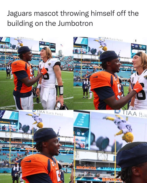 NFL Memes (37 pics)