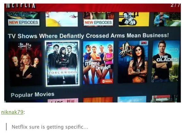 Netflix Memes (35 pics)