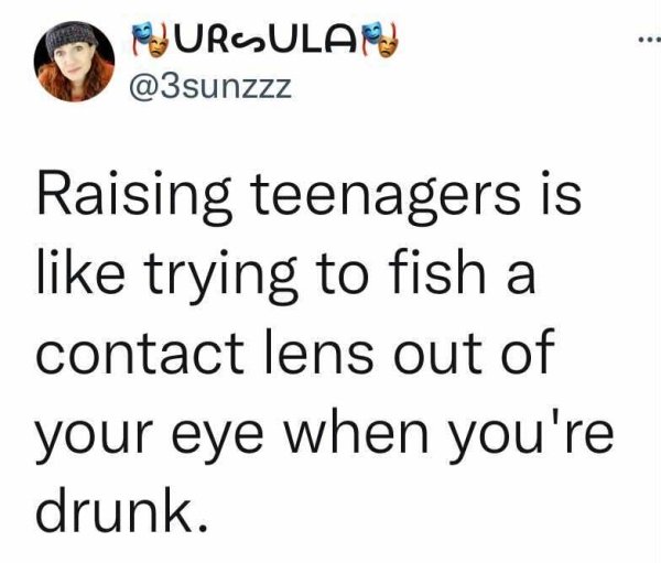 Raising Teens Tweets (27 pics)
