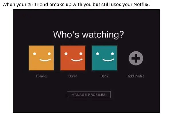 Netflix Memes (35 pics)