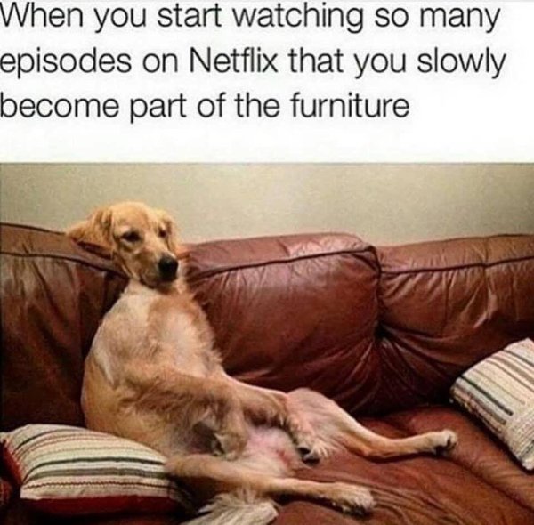 Netflix Memes (35 pics)