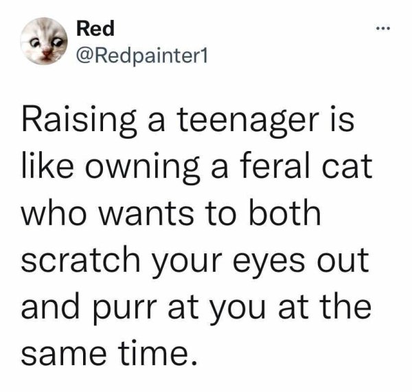 Raising Teens Tweets (27 pics)