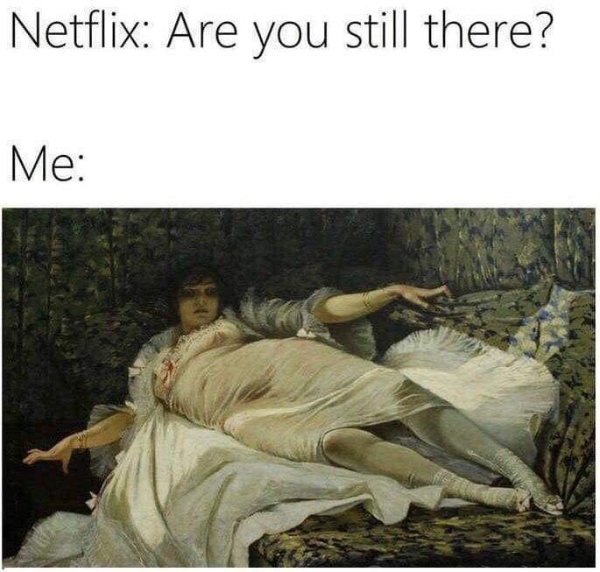 Netflix Memes (35 pics)