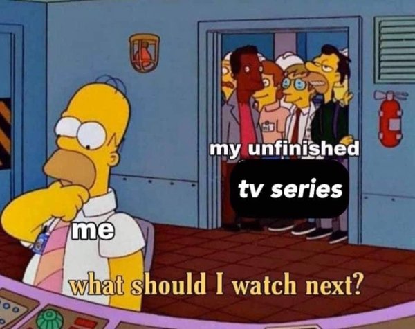 Netflix Memes (35 pics)