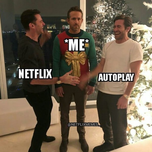Netflix Memes (35 pics)