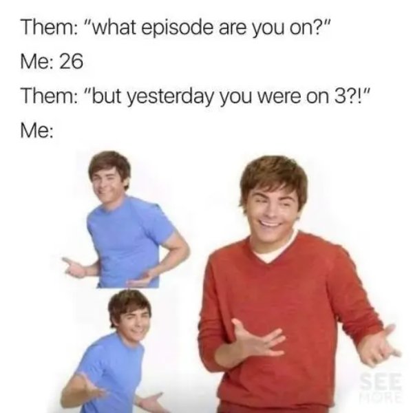 Netflix Memes (35 pics)