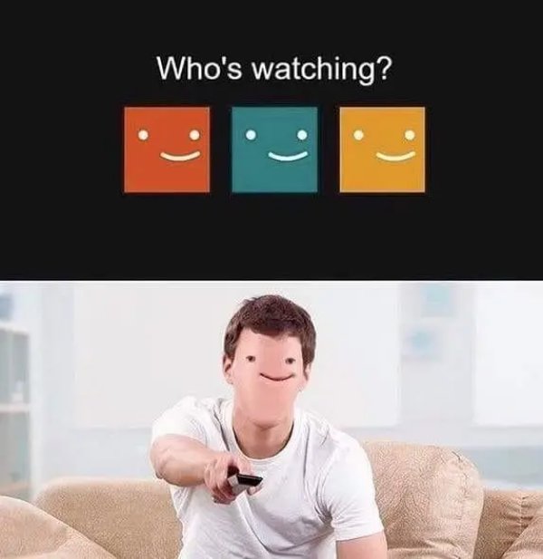 Netflix Memes (35 pics)