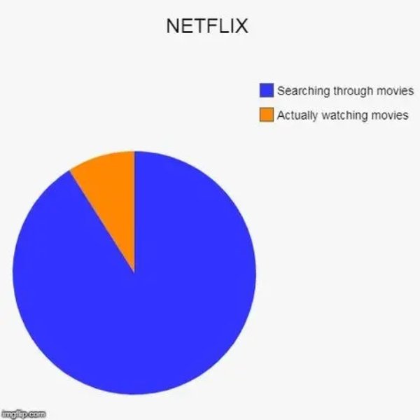 Netflix Memes (35 pics)