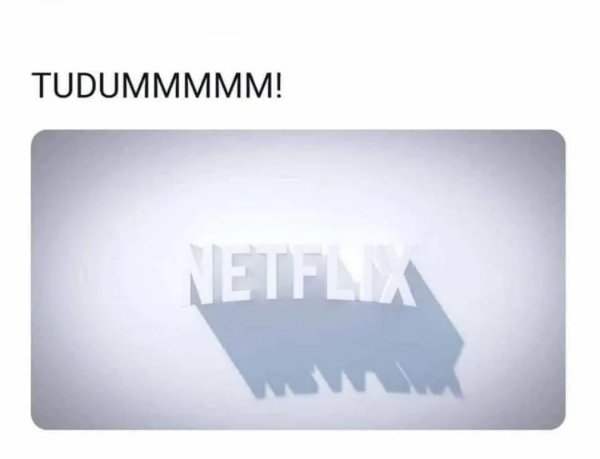 Netflix Memes (35 pics)