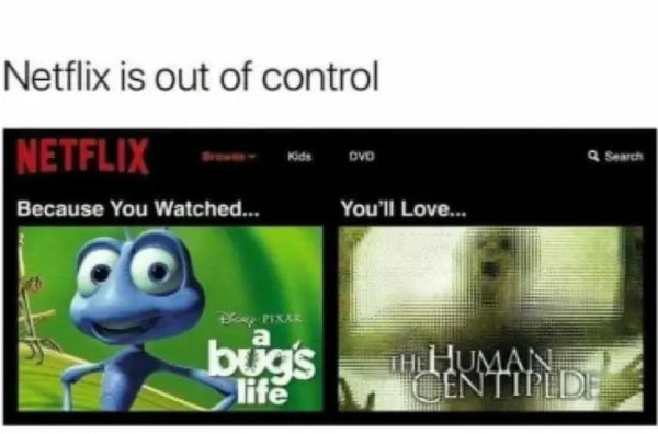 Netflix Memes (35 pics)