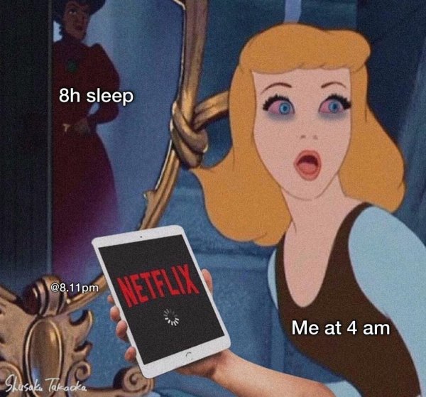 Netflix Memes (35 pics)