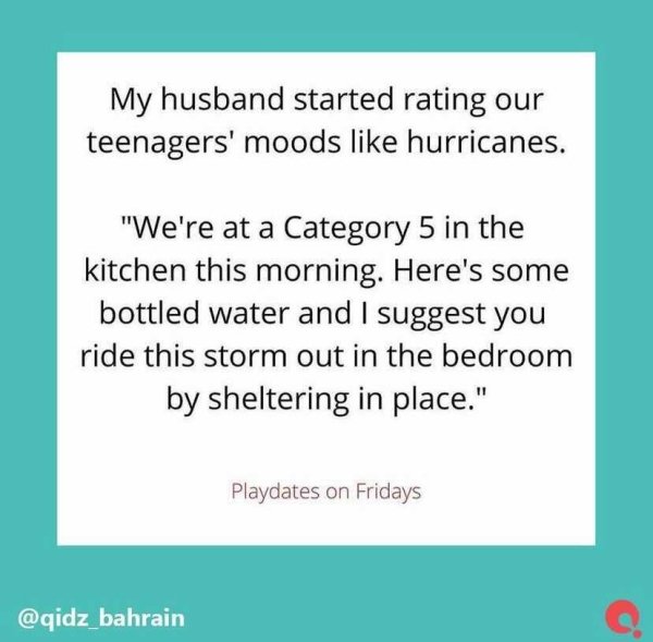 Raising Teens Tweets (27 pics)