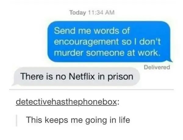 Netflix Memes (35 pics)