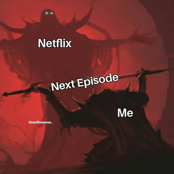 Netflix Memes (35 pics)