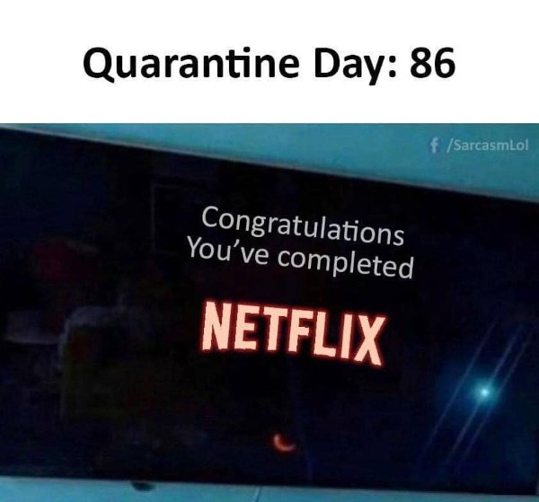 Netflix Memes (35 pics)