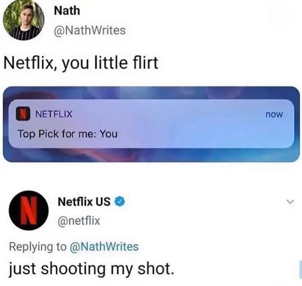 Netflix Memes (35 pics)