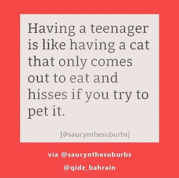 Raising Teens Tweets (27 pics)