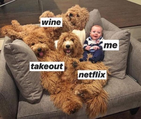 Netflix Memes (35 pics)