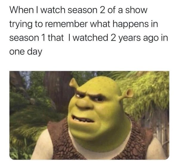 Netflix Memes (35 pics)