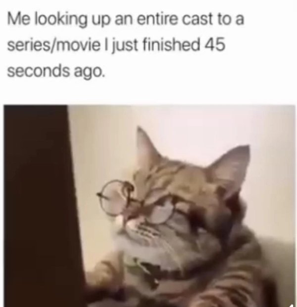 Netflix Memes (35 pics)