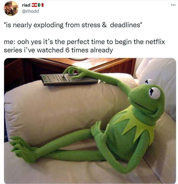 Netflix Memes (35 pics)