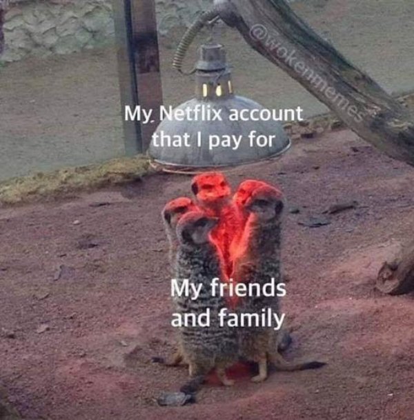 Netflix Memes (35 pics)