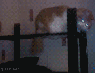 Acid Gifdump, September 23 (25 gifs)