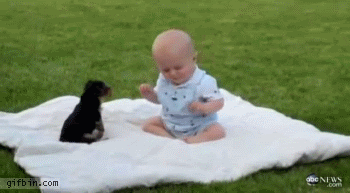 Acid Gifdump, September 23 (25 gifs)