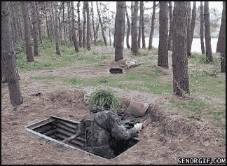Acid Gifdump, September 23 (25 gifs)