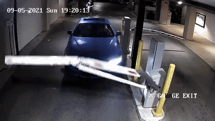 Acid Gifdump, September 23 (25 gifs)