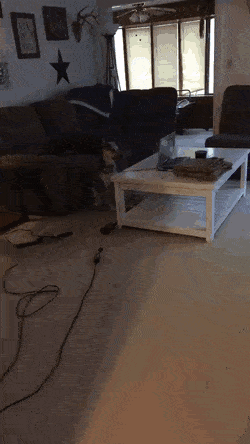 Acid Gifdump, September 23 (25 gifs)