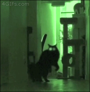 Acid Gifdump, September 23 (25 gifs)