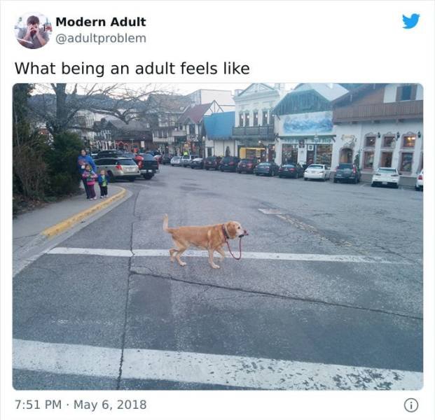 Adulthood Tweets (50 pics)