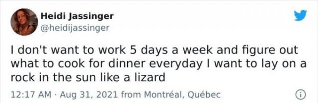 Adulthood Tweets (50 pics)