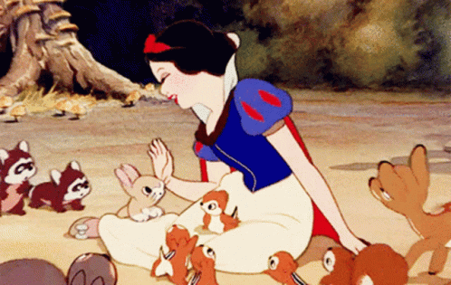 People Reveal Family Secrets (20 gifs)