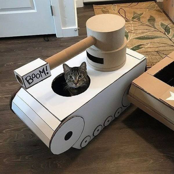 Hilarious Cats (30 pics)