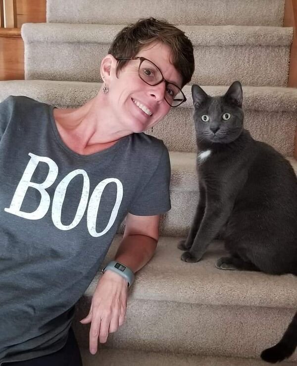 Hilarious Cats (30 pics)