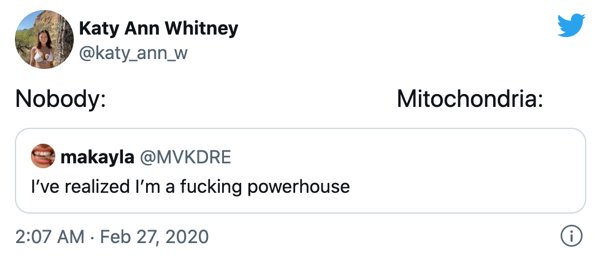 Funny Tweets (25 pics)