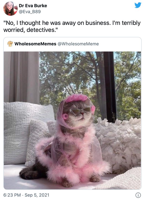 Funny Tweets (25 pics)