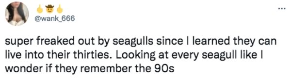 Funny Tweets (30 pics)