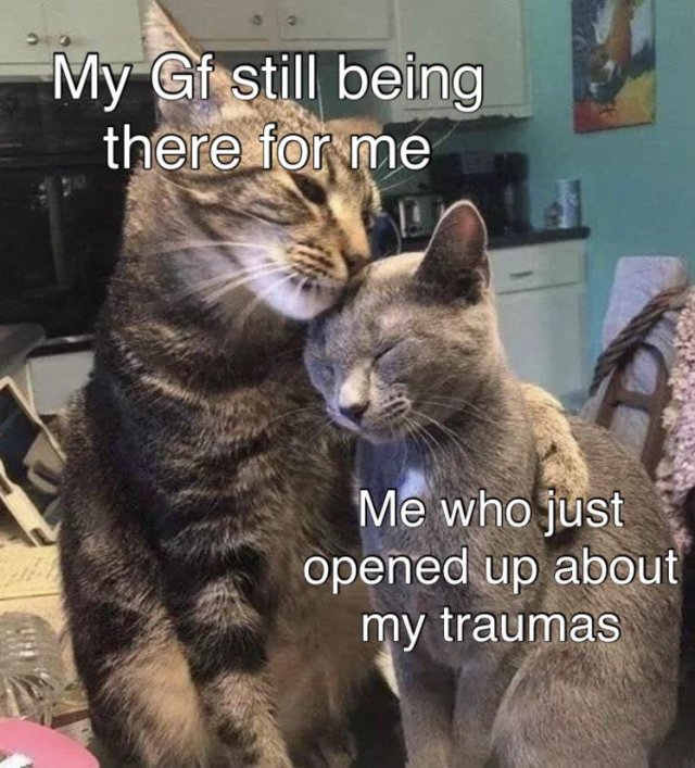 Wholesome Memes (25 pics)