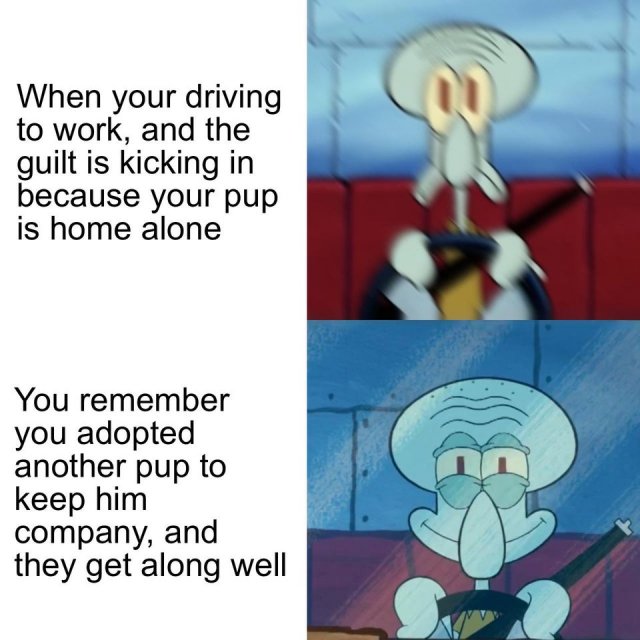 Wholesome Memes (25 pics)