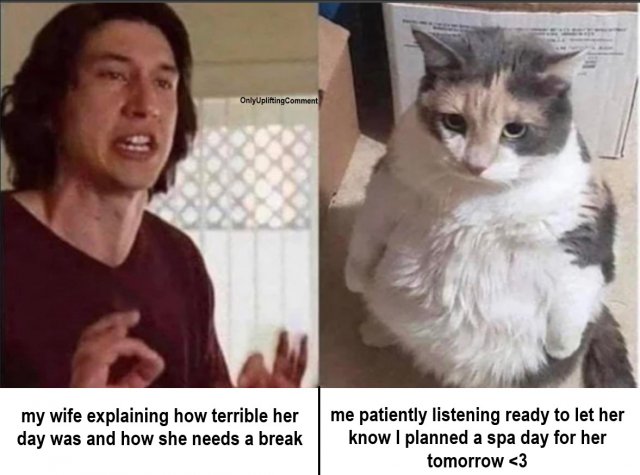 Wholesome Memes (25 pics)