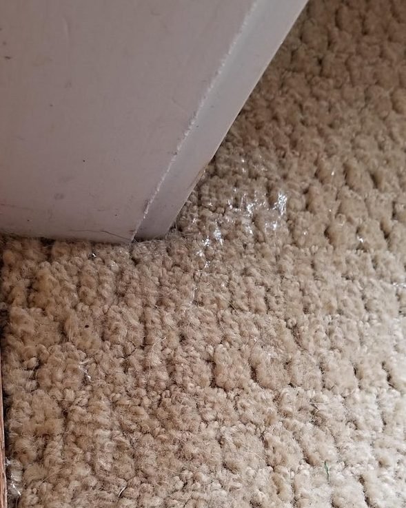 What Are These Things For? (23 pics)