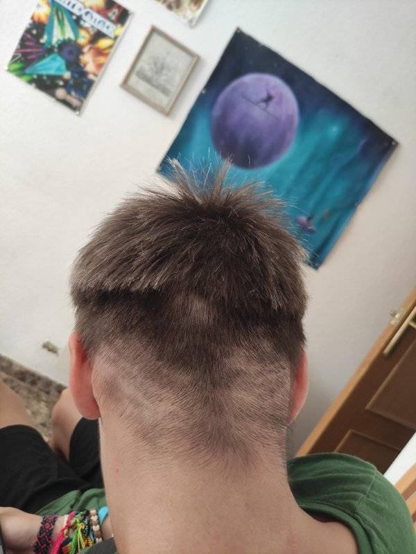 Weird Haircuts (52 pics)