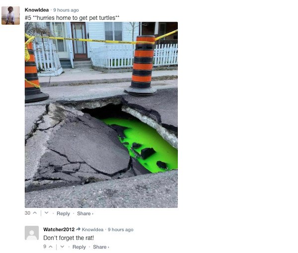 Funny Comments (67 pics)