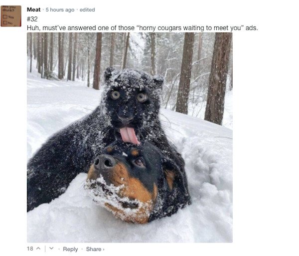 Funny Comments (67 pics)