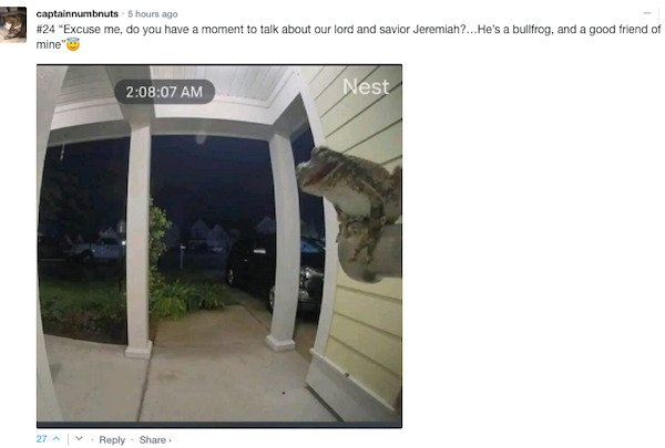 Funny Comments (67 pics)