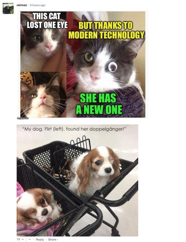 Funny Comments (67 pics)