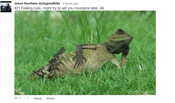 Funny Comments (67 pics)